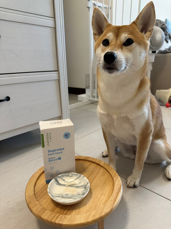 試用